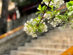 -潭柘寺景区