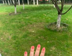 -NEW LOOK-绿麓 · 美甲美睫脱毛工作室