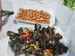 -墨脱石锅椰子鸡•香草鸭•东山羊(大东海店)