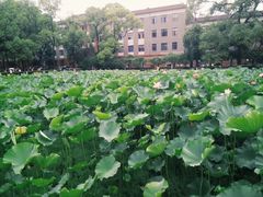 -四川大学(望江校区)