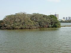 -海珠湖公园