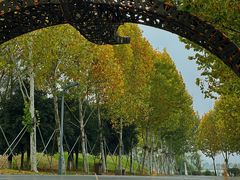 -洋湖国家湿地公园