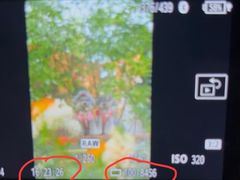 -上海鲜花港