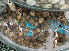 -仙螺岛海鲜自助餐厅(总店)