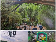 -广州长隆野生动物世界