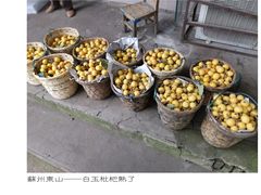 -东山风景区(洞庭东山)