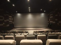 -武商摩尔影城(国广IMAX激光店)