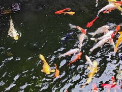 -西林禅寺