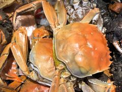 蒸汽海鲜-乔哥铭洋海鲜自助(皇城恒隆广场店)