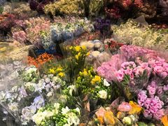 -循礼门鲜花花市(武汉循礼门店)