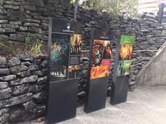 -怀托摩萤火虫洞