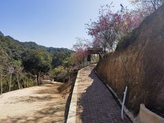 -世间香境·七溪地