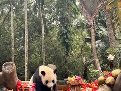 -海南热带野生动植物园