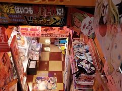 -秋叶原电器街