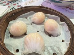 -憶廟街 X 沙角邨(太古城店)