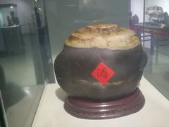 -东南花都花博园