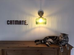 -Catmate·猫肥家润(金润铂宫店)