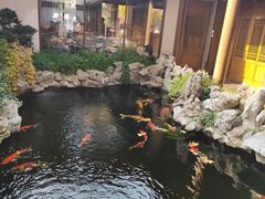 -鲤院·新中式美学·庭院餐厅(夫子庙店)
