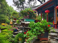 -白家大院·王府宫廷菜(苏州街店)