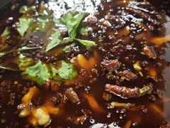 -重庆乌鱼庄·龙滋鲜(青羊大道店)