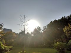 -杭州城北体育公园