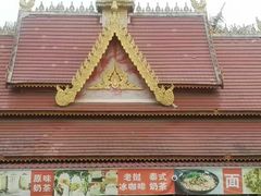 -西双版纳原始森林公园