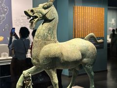 -广西壮族自治区博物馆