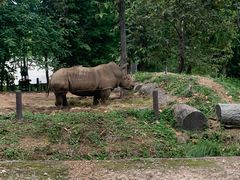 -清迈夜间动物园