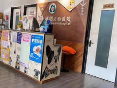 -美联众合宠物医院·爱萌分院·内外科·猫科中心