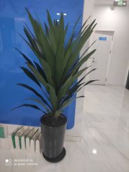 点击看大图 体验后-雍禾植发