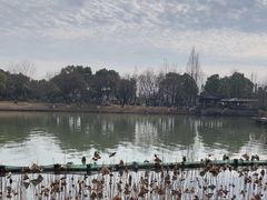 -湘湖大院(越王路店)