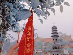 -开福禅寺