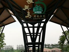 -上海长兴岛郊野公园