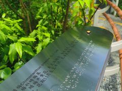 -渤公岛生态公园