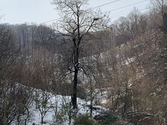 -西安祥峪森林公园