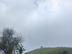-浮来山风景区