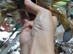 -四川人郑霞海鲜