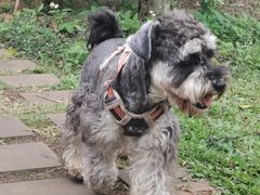 -白沙门生态公园