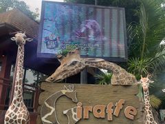 -清迈夜间动物园