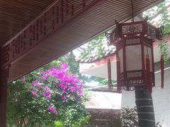 -生宇山珍野生菌汤锅•始于1999(双流古塔店)