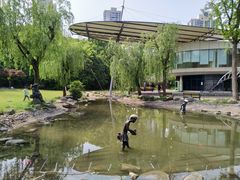 -苏州河梦清园环保主题公园