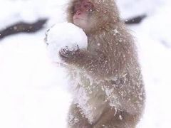 -金乐活美食(中街店)