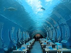 -涛·海底餐厅·美人鱼·自助餐·海底隧道(三亚海棠湾洲际度假酒店)