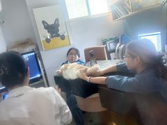 -联合动物医院(光谷诊疗中心)