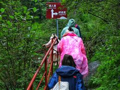 -芦芽山旅游度假区