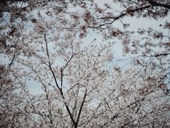 -龙美术馆西岸馆-停车场