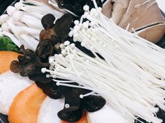 -红菇坊鲜汤火锅(北站店)