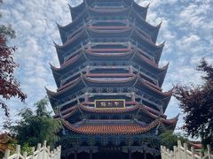 -铁山坪森林公园