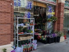 -陇南批发市场