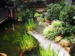 -凤凰山斑鱼馆(恭城店)